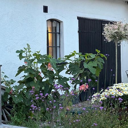 Backadal Gard Bnb Ystad Eksteriør billede