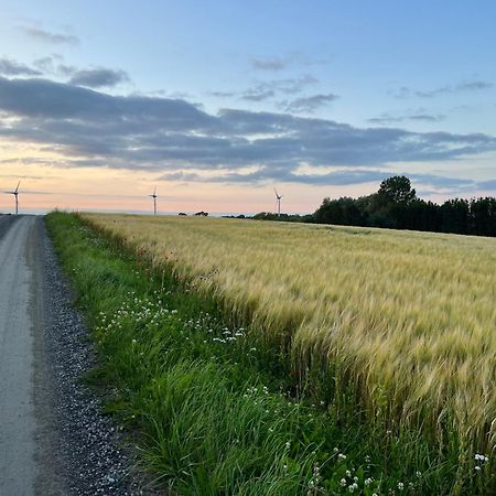 Backadal Gard Bnb Ystad Eksteriør billede