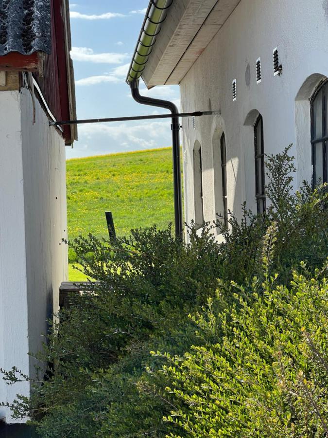 Backadal Gard Bnb Ystad Eksteriør billede