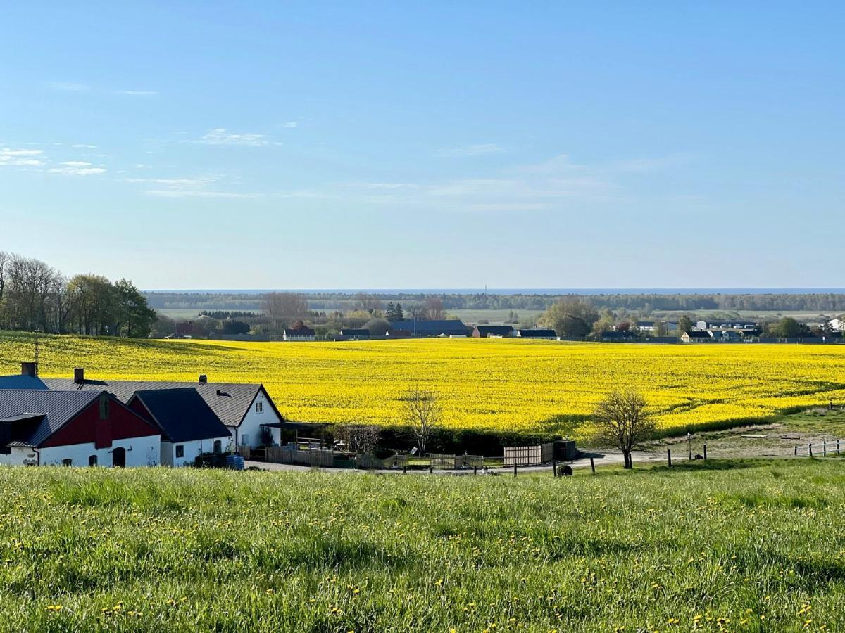 Backadal Gard Bnb Ystad Eksteriør billede